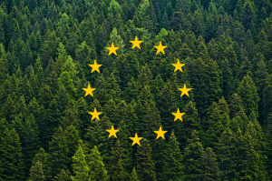 Règlement européen sur la déforestation / Mise en œuvre dès le 30 décembre 2024