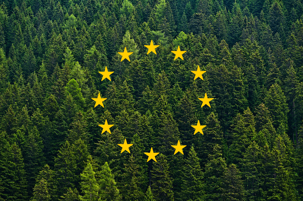 Règlement européen sur la déforestation / Mise en œuvre dès le 30 décembre 2024