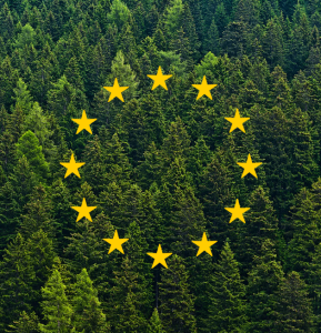 Règlement 2023/1115 Contre la déforestation et dégradation des forêts  –  Mise en oeuvre dès le 30 décembre 2025