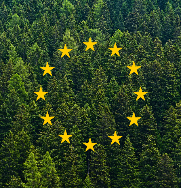 Règlement 2023/1115 Contre la déforestation et dégradation des forêts  –  Mise en oeuvre dès le 30 décembre 2025